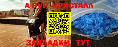 индика Дмитров