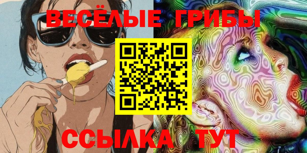 Галлюциногенные грибы Psilocybe Балашиха