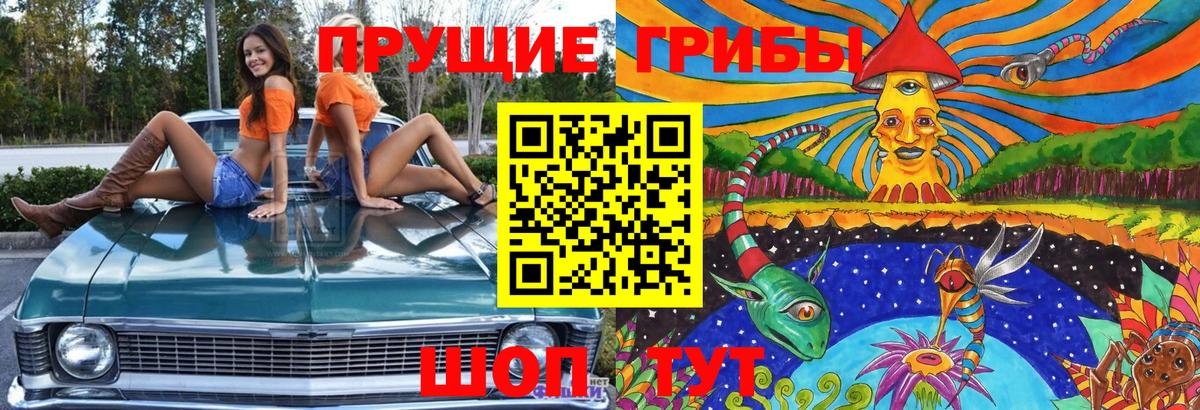 Галлюциногенные грибы прущие грибы  Псилоцибиновые грибы Cubensis  Вход с VPN  сколько стоит  Балашиха 